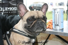 FruehlingPitStaffCo-2013-003