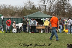 FruehlingPitStaffCo-2013-004