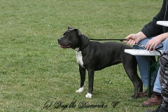 FruehlingPitStaffCo-2013-005