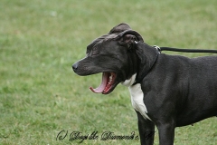 FruehlingPitStaffCo-2013-006