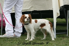 FruehlingPitStaffCo-2013-011