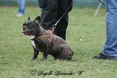 FruehlingPitStaffCo-2013-012