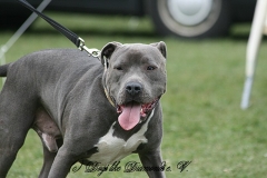 FruehlingPitStaffCo-2013-014