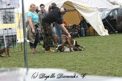 FruehlingPitStaffCo-2013-015