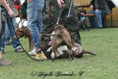 FruehlingPitStaffCo-2013-016