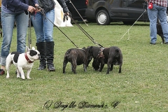 FruehlingPitStaffCo-2013-018