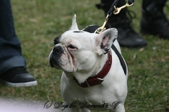 FruehlingPitStaffCo-2013-019