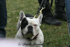 FruehlingPitStaffCo-2013-020