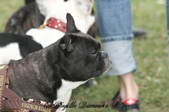 FruehlingPitStaffCo-2013-021