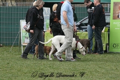 FruehlingPitStaffCo-2013-022