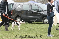 FruehlingPitStaffCo-2013-023