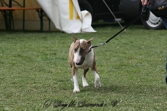 FruehlingPitStaffCo-2013-024