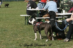 FruehlingPitStaffCo-2013-029