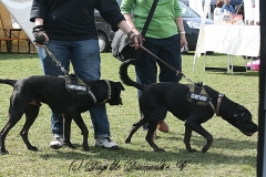 FruehlingPitStaffCo-2013-030