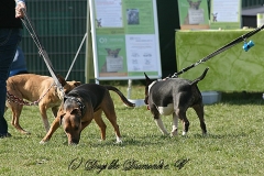 FruehlingPitStaffCo-2013-031