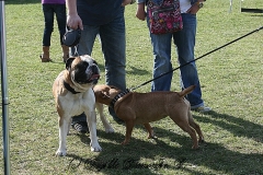 FruehlingPitStaffCo-2013-032