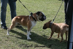 FruehlingPitStaffCo-2013-033