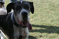 FruehlingPitStaffCo-2013-034