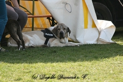 FruehlingPitStaffCo-2013-036