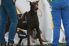 FruehlingPitStaffCo-2013-037