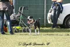 FruehlingPitStaffCo-2013-039