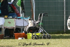 FruehlingPitStaffCo-2013-040