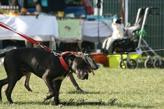 FruehlingPitStaffCo-2013-041