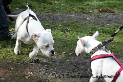 gamenessfuntreff-2012-002