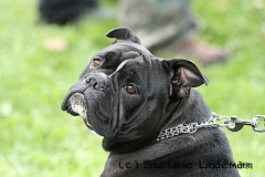 gamenessfuntreff-2012-004