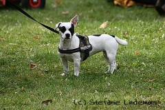 gamenessfuntreff-2012-006