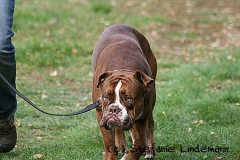 gamenessfuntreff-2012-007