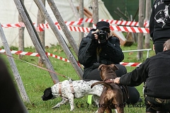 gamenessfuntreff-2012-009