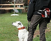 gamenessfuntreff-2012-010