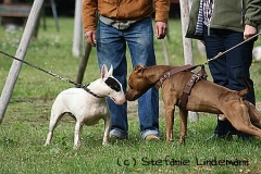 gamenessfuntreff-2012-011