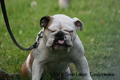 gamenessfuntreff-2012-012