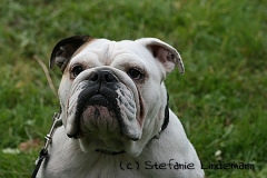 gamenessfuntreff-2012-013