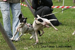 gamenessfuntreff-2012-017