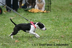 gamenessfuntreff-2012-019