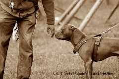 gamenessfuntreff-2012-021