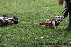 gamenessfuntreff-2012-027