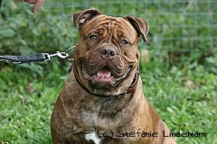 gamenessfuntreff-2012-028