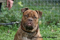 gamenessfuntreff-2012-029