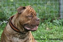 gamenessfuntreff-2012-030