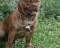 gamenessfuntreff-2012-031