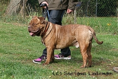 gamenessfuntreff-2012-032