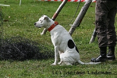 gamenessfuntreff-2012-034