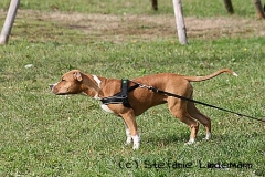 gamenessfuntreff-2012-035