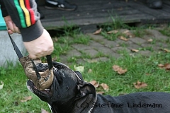 gamenessfuntreff-2012-036