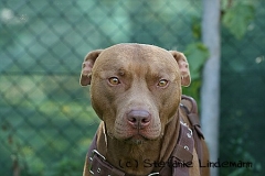 gamenessfuntreff-2012-037