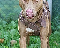 gamenessfuntreff-2012-038